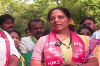 Kavitha Singareni Comments