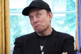 Elon Wealth |
