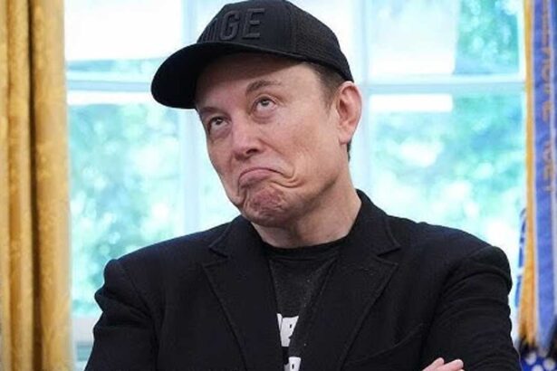 Elon Wealth |