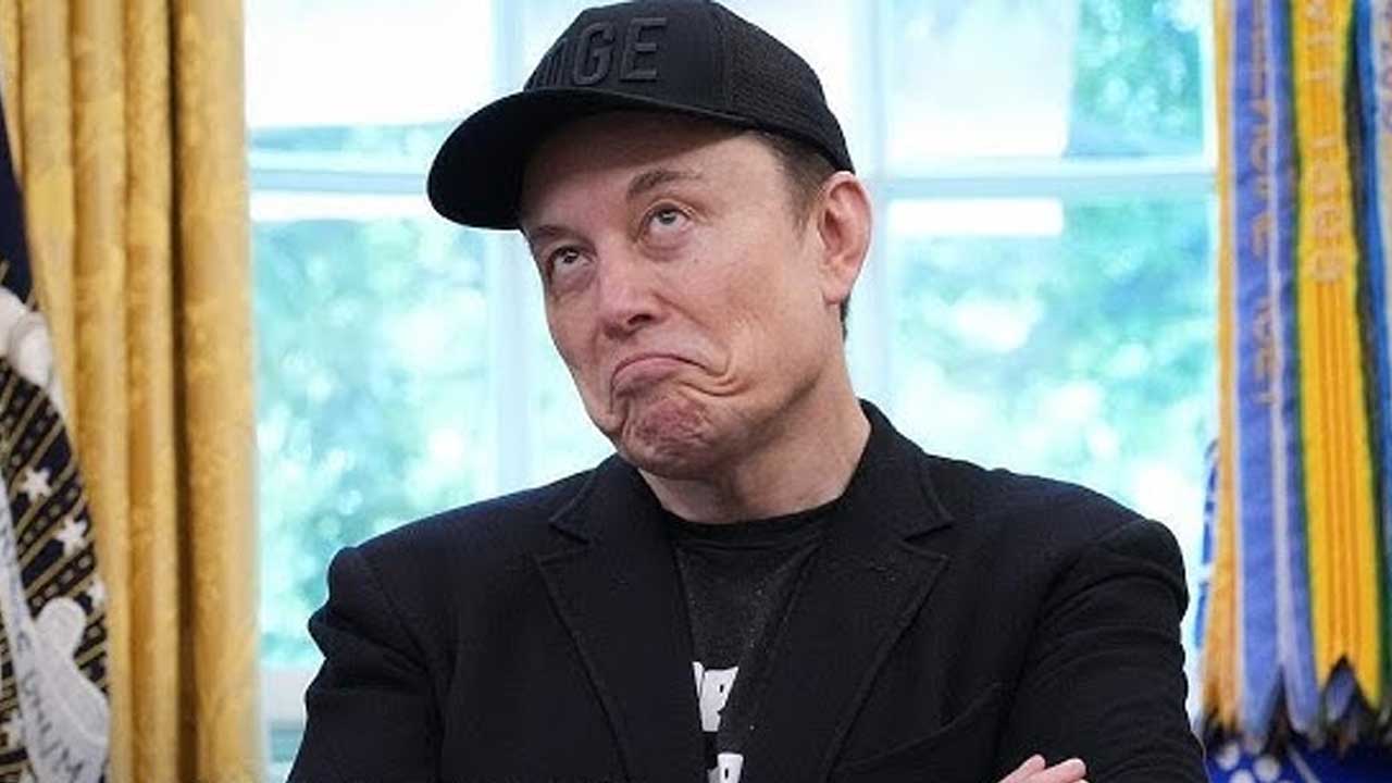 Elon Wealth |