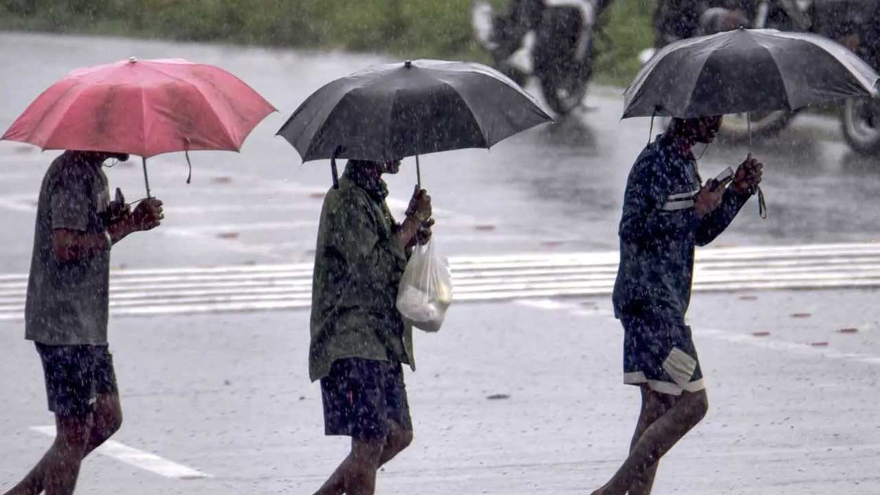 Heavy Rain Alert