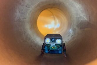 AI Soft Robots