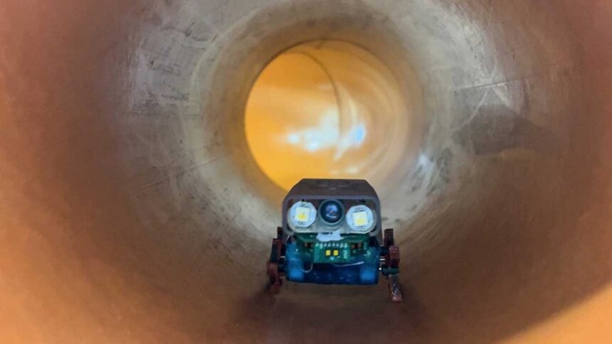 AI Soft Robots