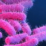 Shigellosis Outbreak Kerala