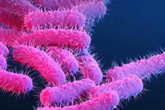 Shigellosis Outbreak Kerala