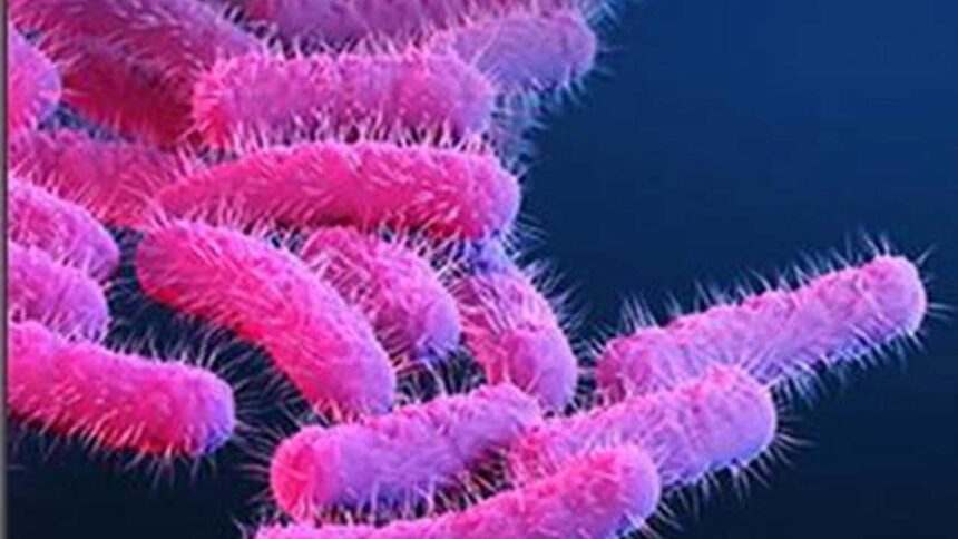 Shigellosis Outbreak Kerala