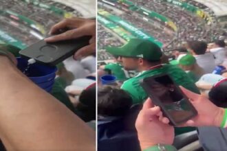FIFA Stadium Alcohol