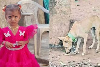 Janu Missing Case