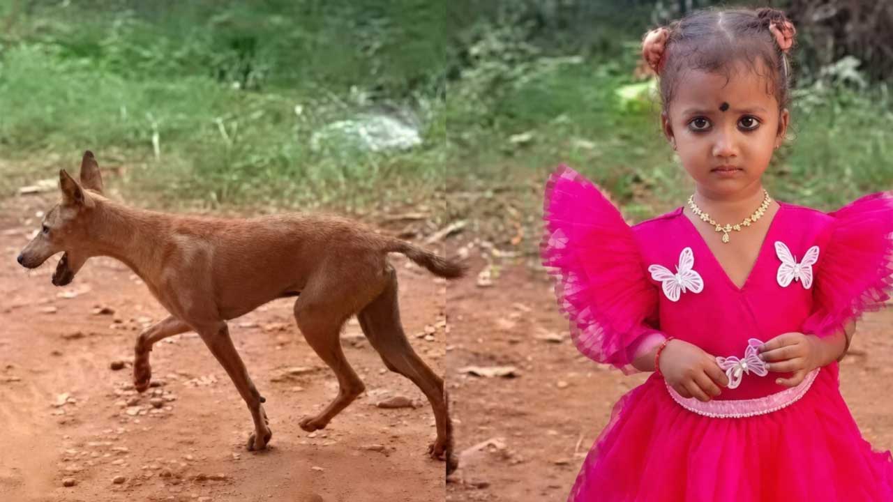 tuni.1