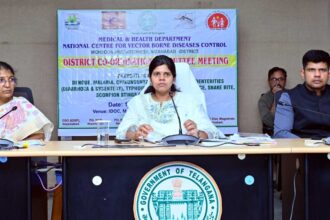 Seasonal Diseases |
