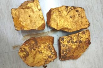 Hidden Treasure Fraud |