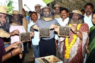Beekeeping Training