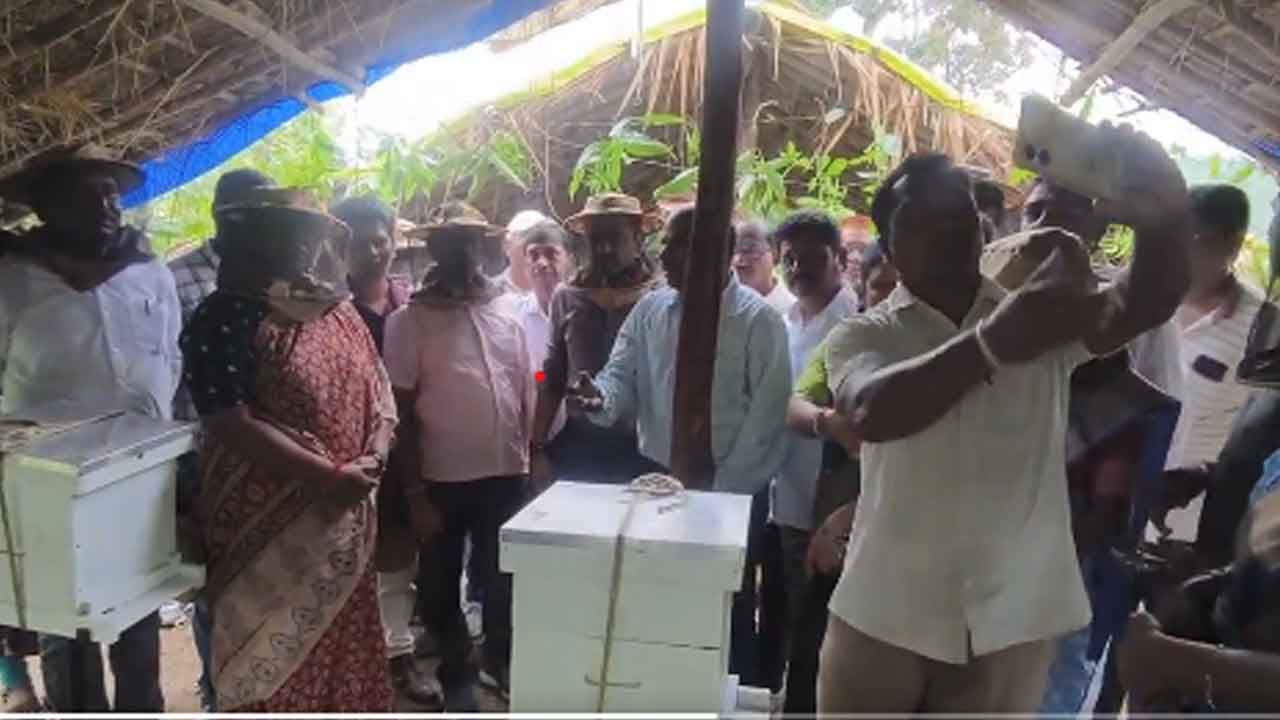 Beekeeping Training | గోనెపల్లిలో తేనెటీగల పెంపకానికి మంత్రి సీతక్క శ్రీకారం 2 Beekeeping Training