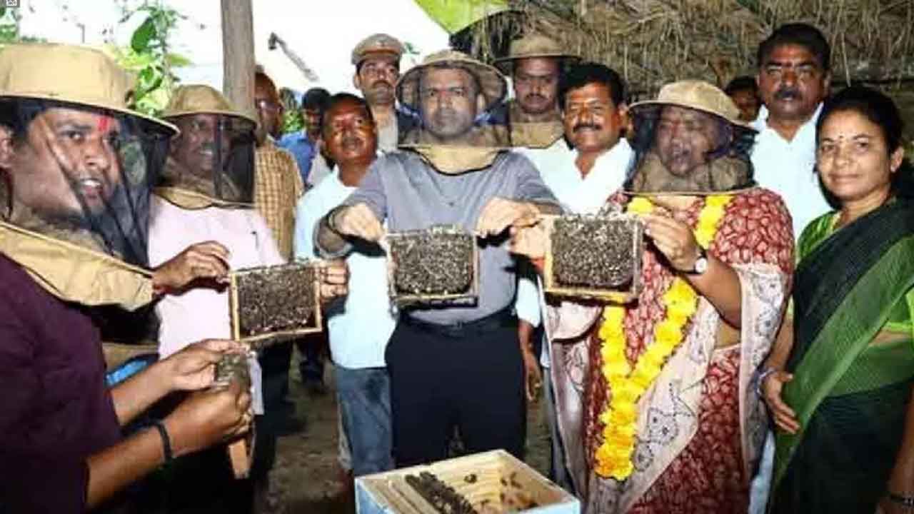 Beekeeping Training