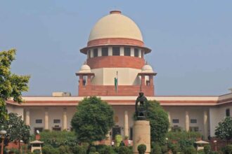 Citizenship Verdict