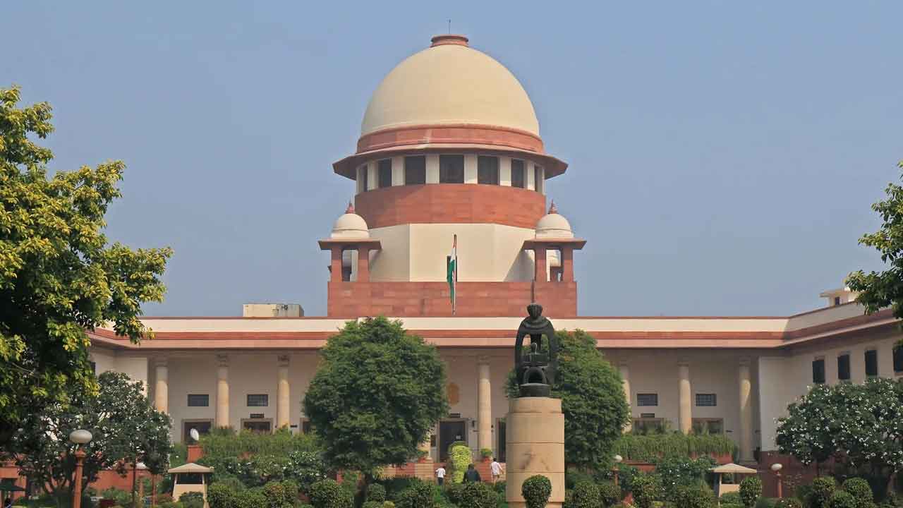 Citizenship Verdict