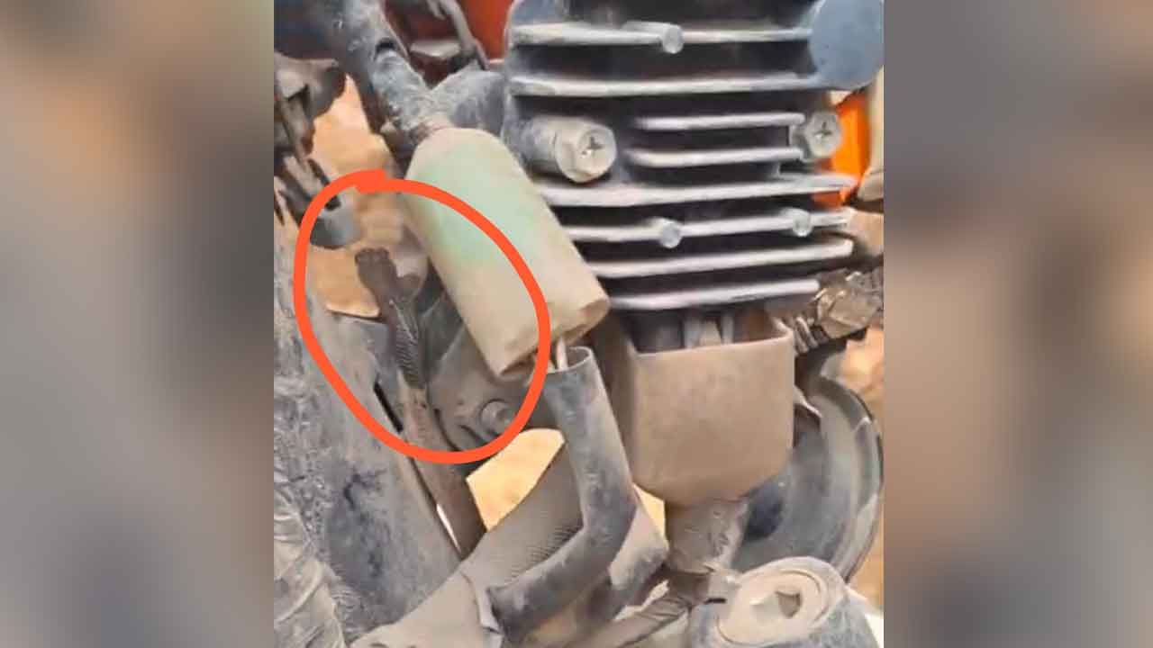 Cobra in Scooter | స్కూటీలో నాగుపాము ప్రత్యక్షం.. కామారెడ్డిలో ఘటన 2 Cobra in Scooter