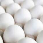 Egg Prices