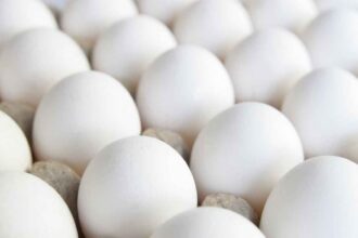Egg Prices