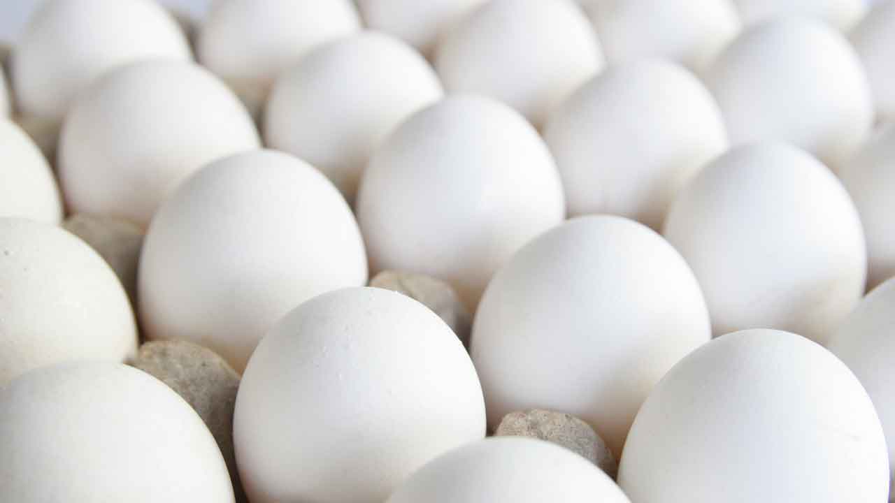 Egg Prices