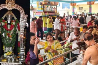 Ekadashi Celebrations