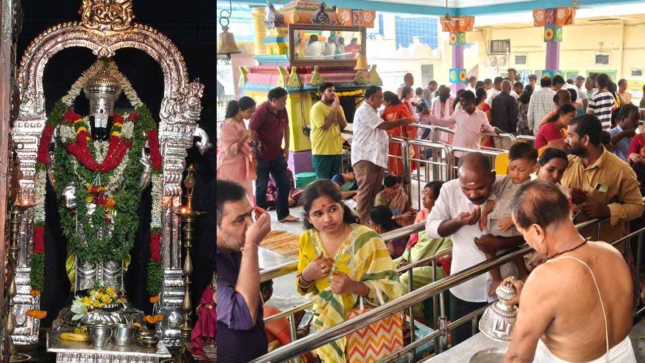 Ekadashi Celebrations