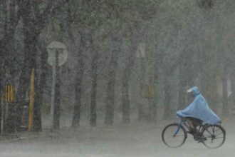 Heavy Rains