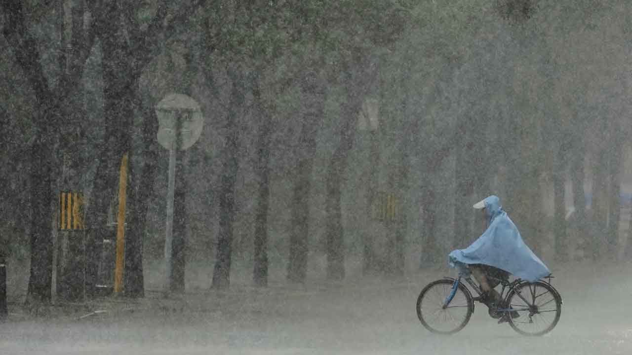 Heavy Rains