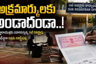 Illegal Registrations