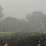 Kamareddy Rain