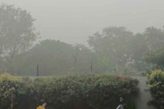 Kamareddy Rain