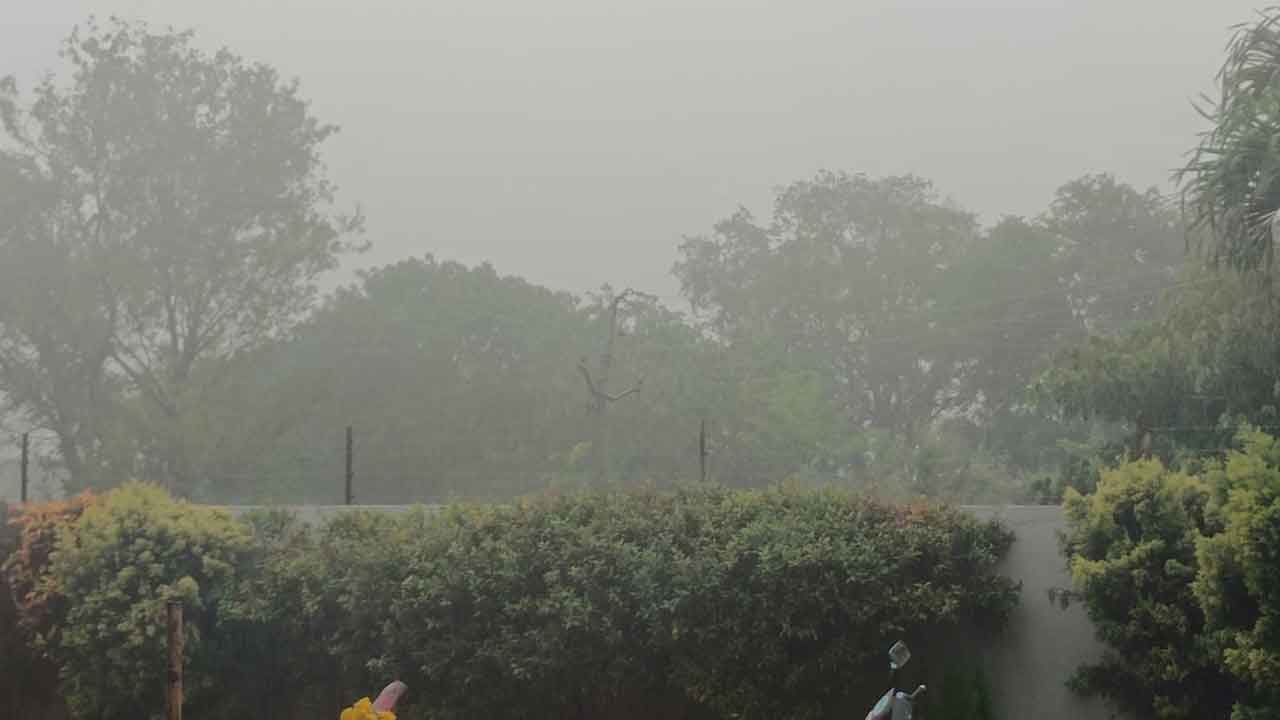 Kamareddy Rain