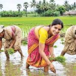 Kamareddy Rainfall