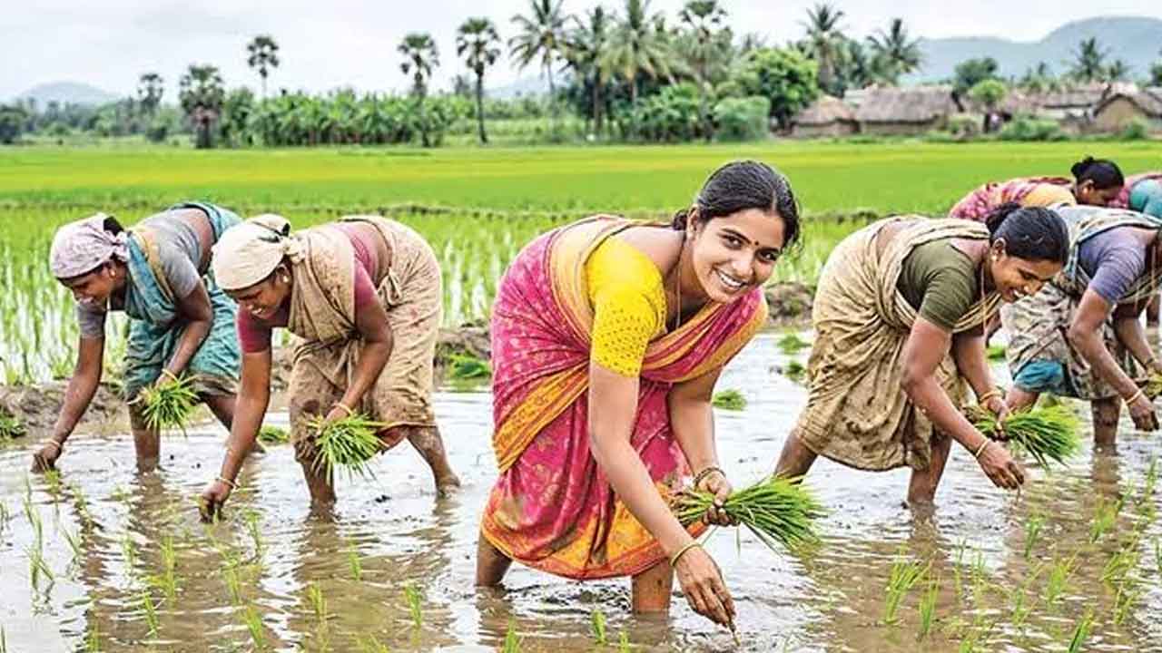 Kamareddy Rainfall