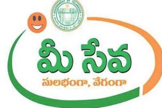 MeeSeva Irregularities