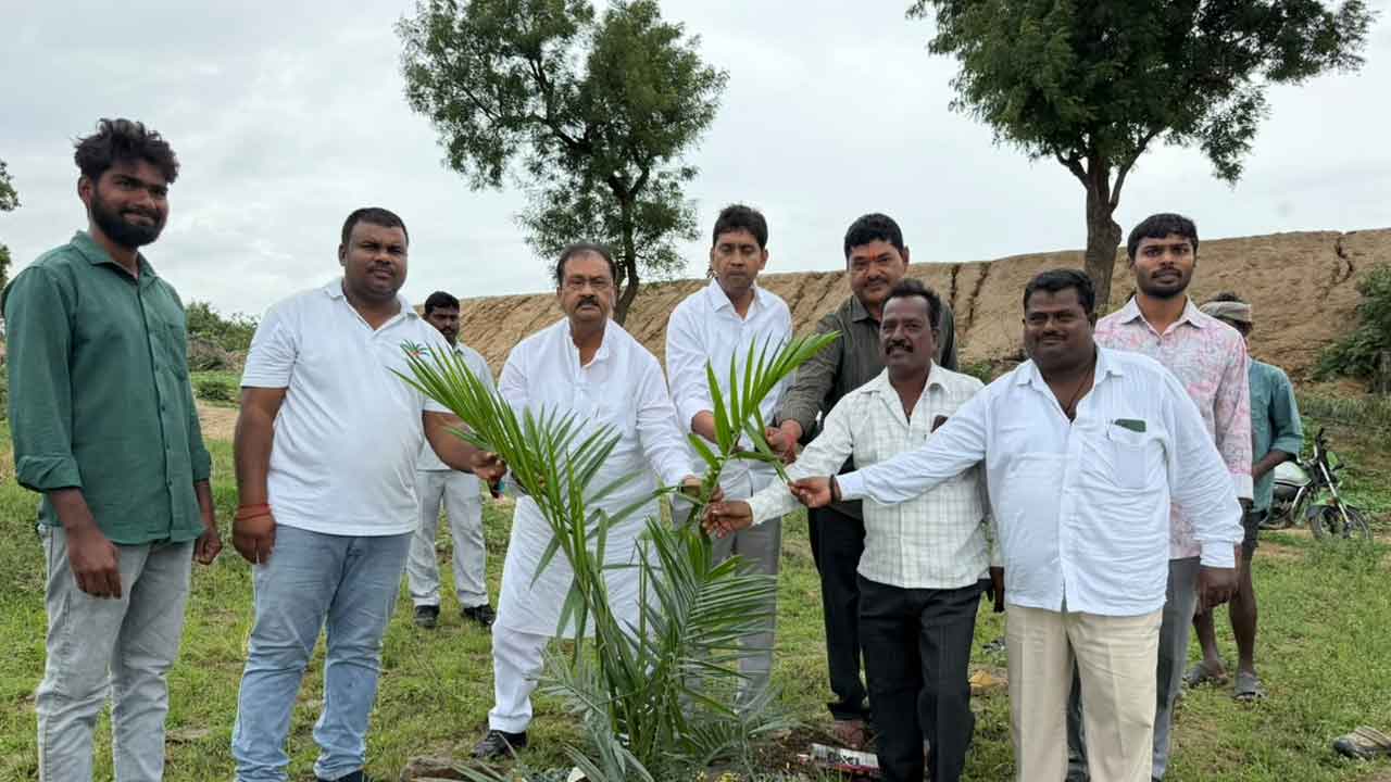 Oil Palm Farming