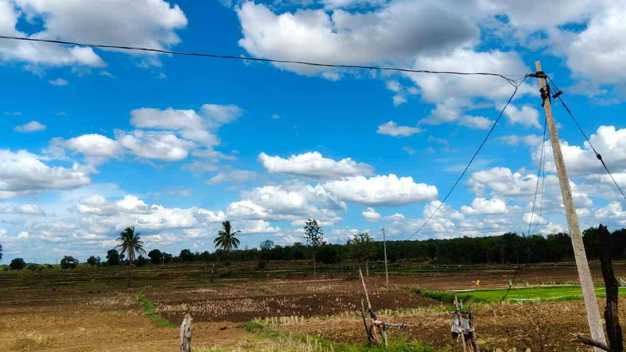 Rain Deficit Farmers | కరుణించని వరుణుడు.. ఆందోళనలో రైతులు 2 Rain Deficit Farmers