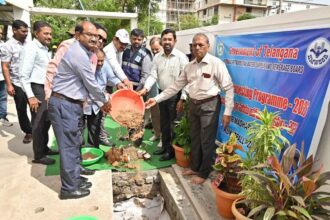 Rainwater Harvesting