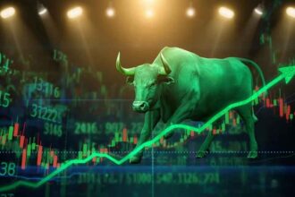 Stock Market Rally