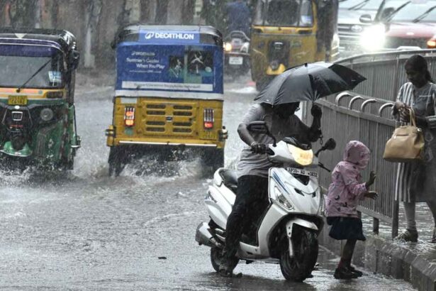 Telangana Heavy Rains