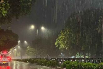 Telangana Light Rain