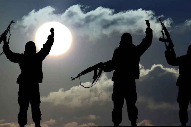 UAPA Terrorists