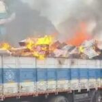 Palnadu Road Accident