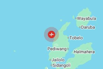 Indonesia Earthquake