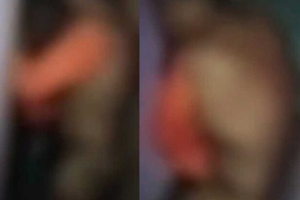 Kollapur Principal Assault