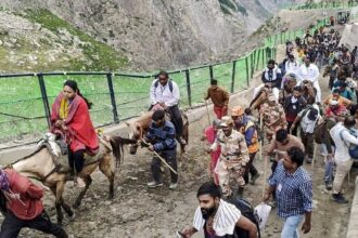 Amarnath Yatra Halts