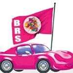 Kamareddy BRS Committees |