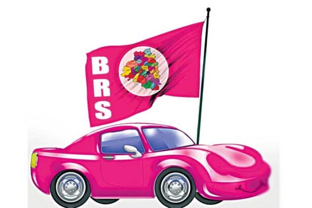 Kamareddy BRS Committees |