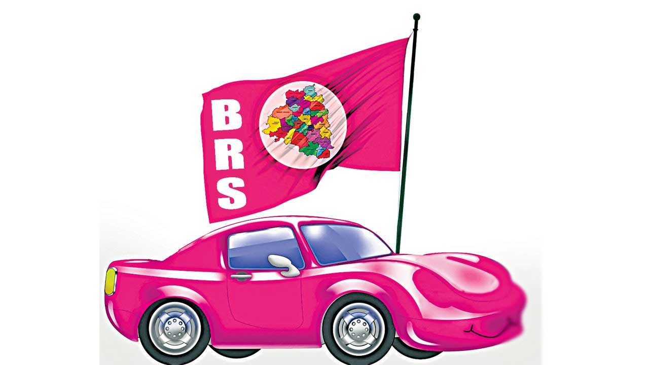 Kamareddy BRS Committees |