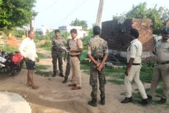Armoor Cordon Search |